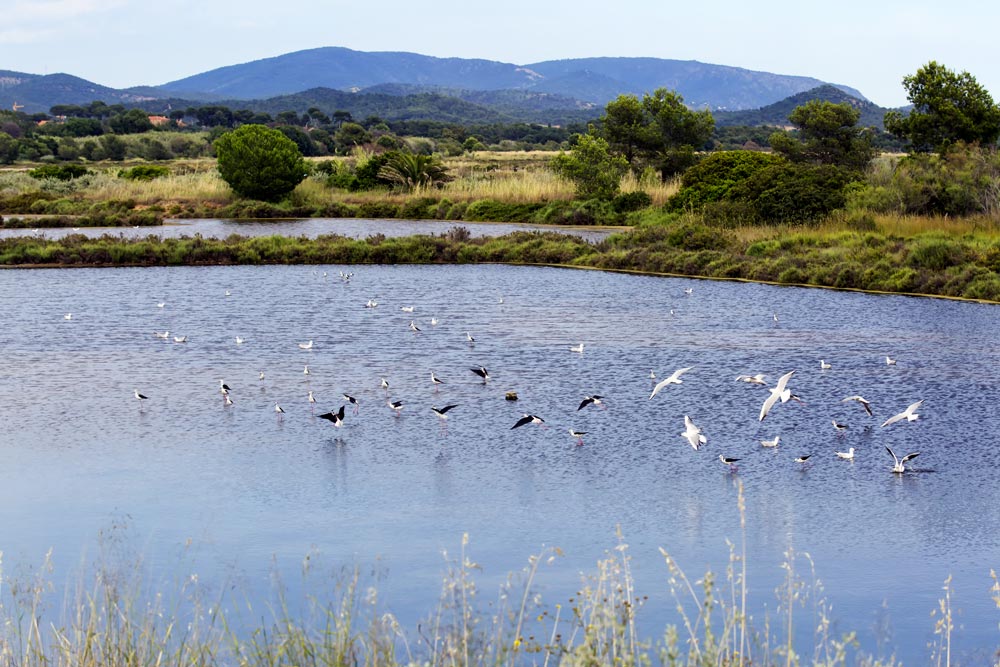 Vieux Salins d'Hyères © André Simon