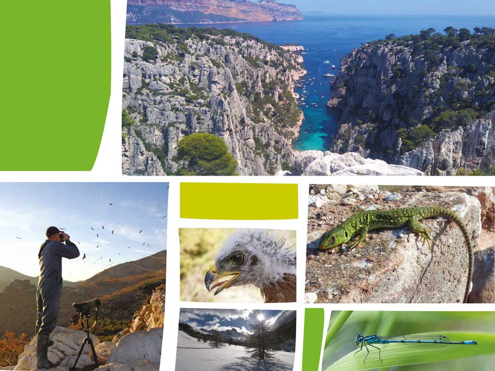 Biodiversité et urbanisme