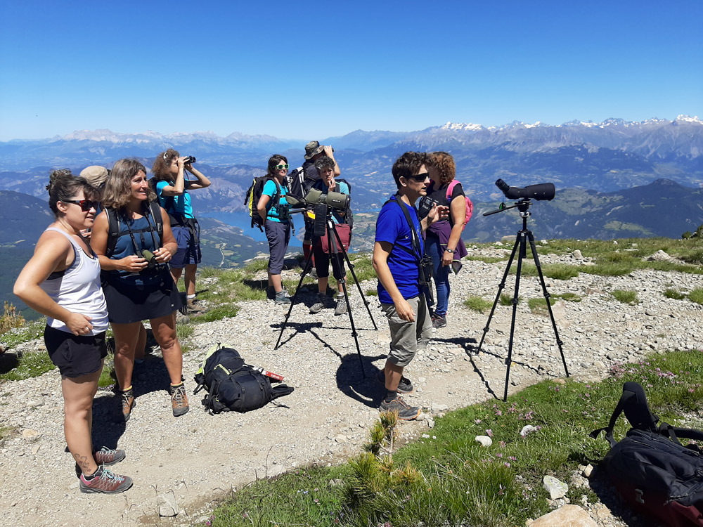 Formation des acteurs du tourisme dans les Alpes du Sud