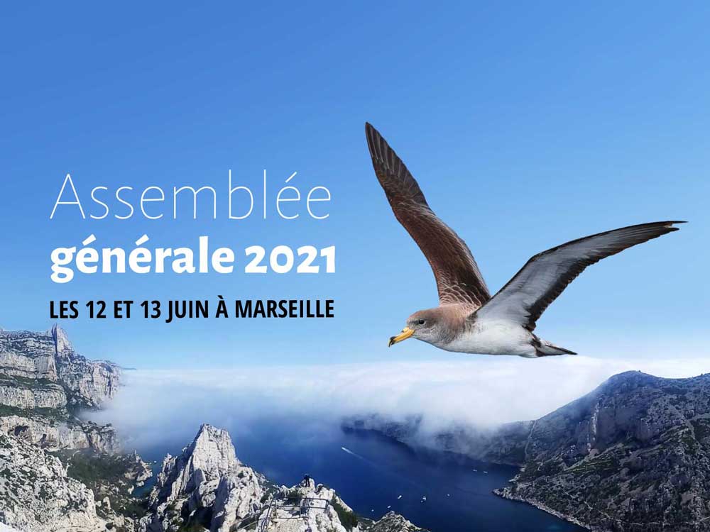 Assemblée générale LPO PACA 2021 © Virgile CC BY 2.0 et Aurélien Audevard