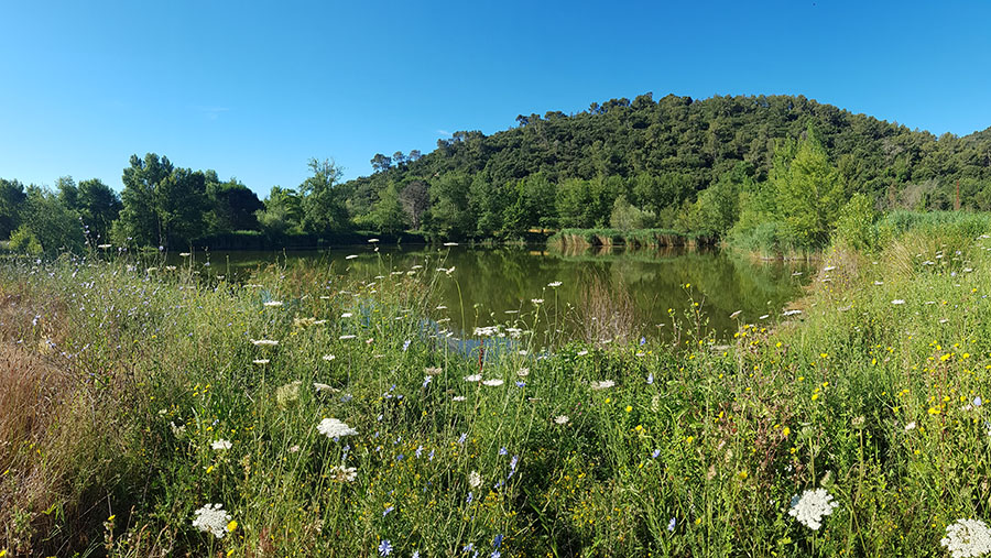 Les étangs de sauvebonne © LPO PACA