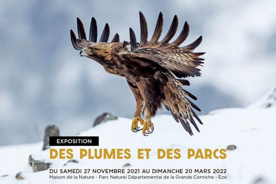 Exposition des plumes et des parcs à Eze dans le département des Alpes-Maritimes