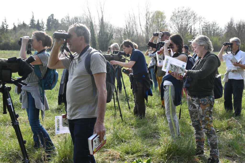 Première journée d’initiation en ornithologie dans le Vaucluse