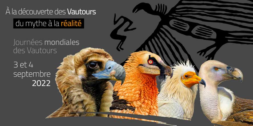 Venez observer le ciel à l’occasion des Journées mondiales des vautours