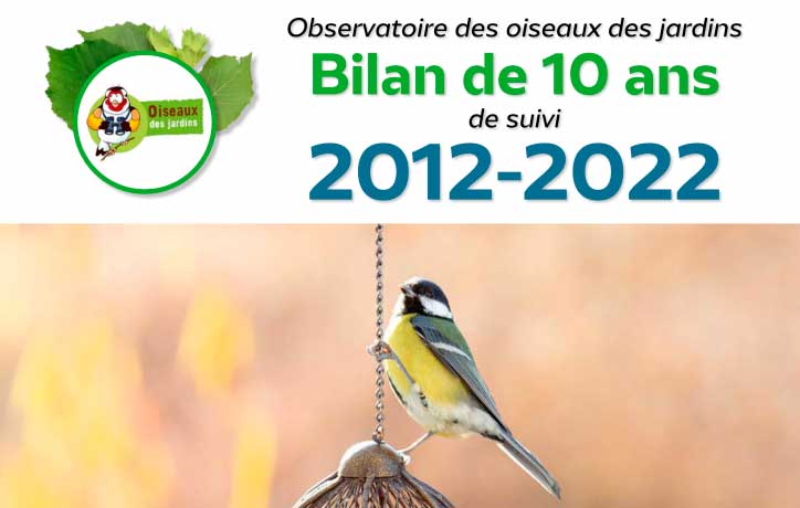 Comptage des oiseaux des jardins : bilan de 10 ans de sciences citoyennes
