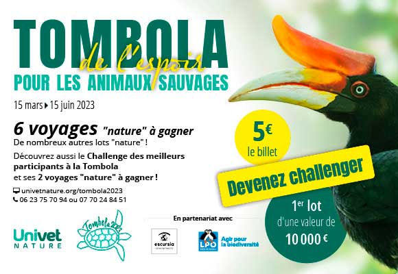 Devenez challenger de la Tombola de l'Espoir pour les animaux sauvages !