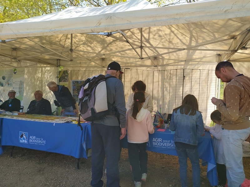 Atelier manuel pour les enfants © Celestine Robert 