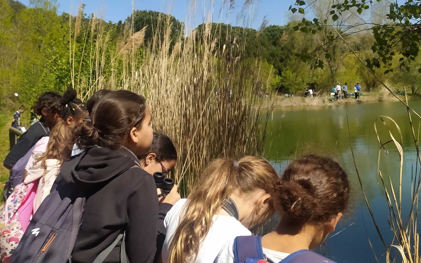 Observations des étangs © Celestine Robert 