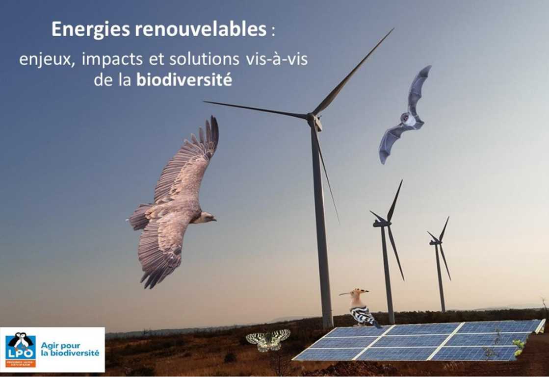 Conférence « Les énergies renouvelables et la biodiversité : enjeux, impacts et solutions » par Alexandre Van der Yeught