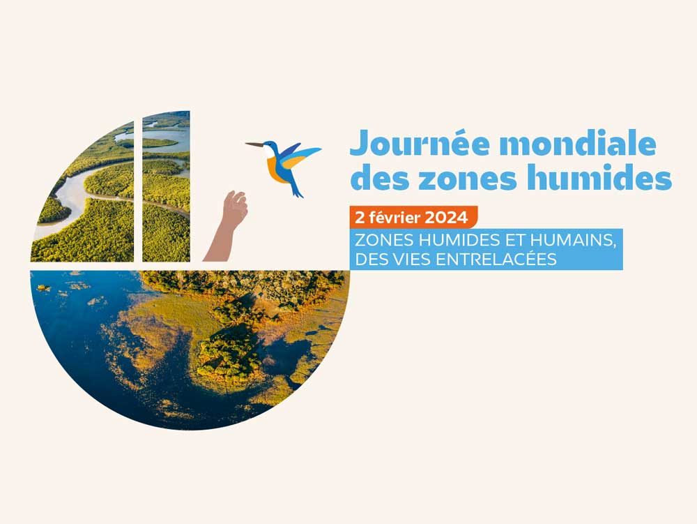 Journée mondiale des zones humides : Zones humides et bien-être humain