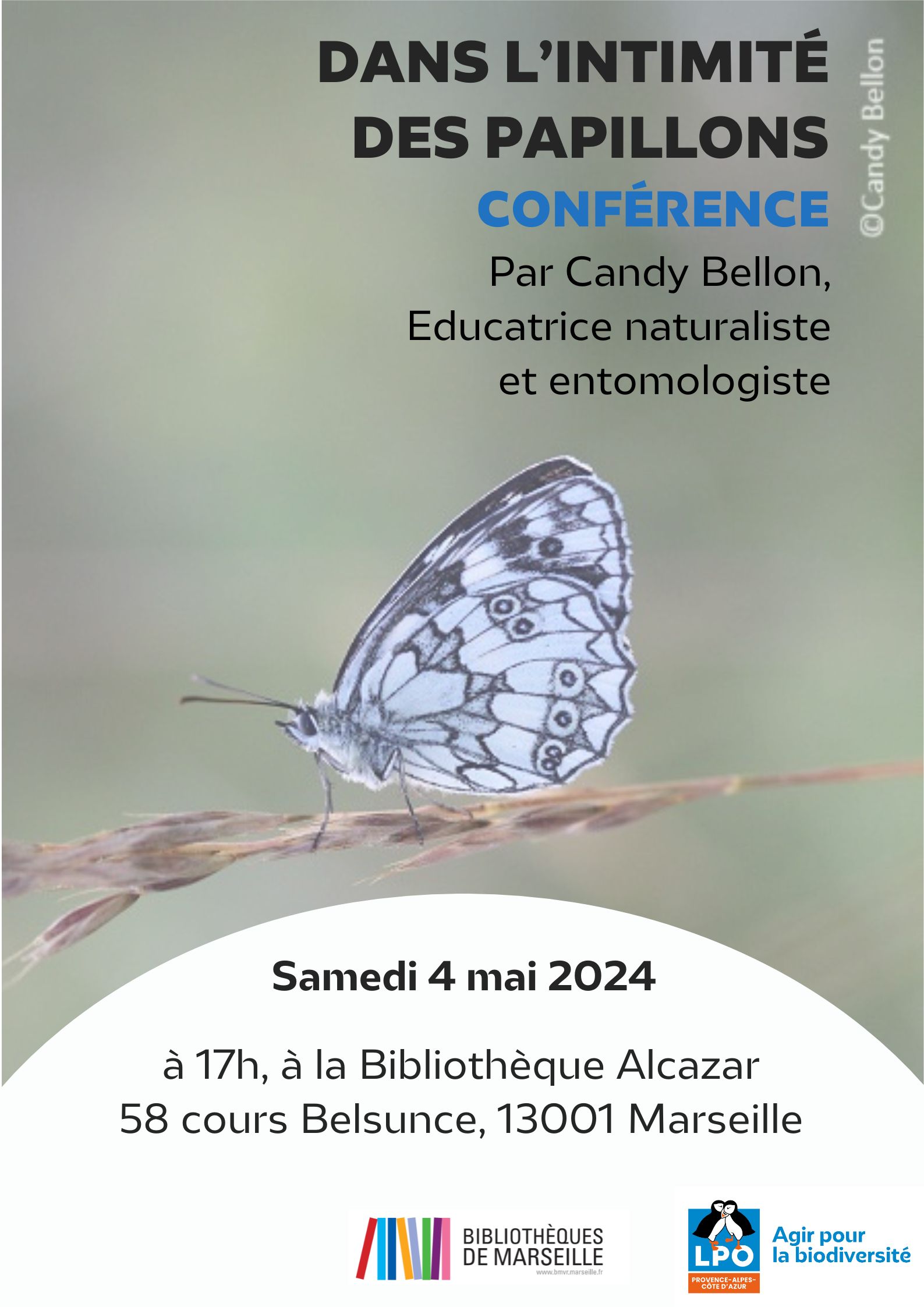 Affiche conférence papillons Candy Bellon
