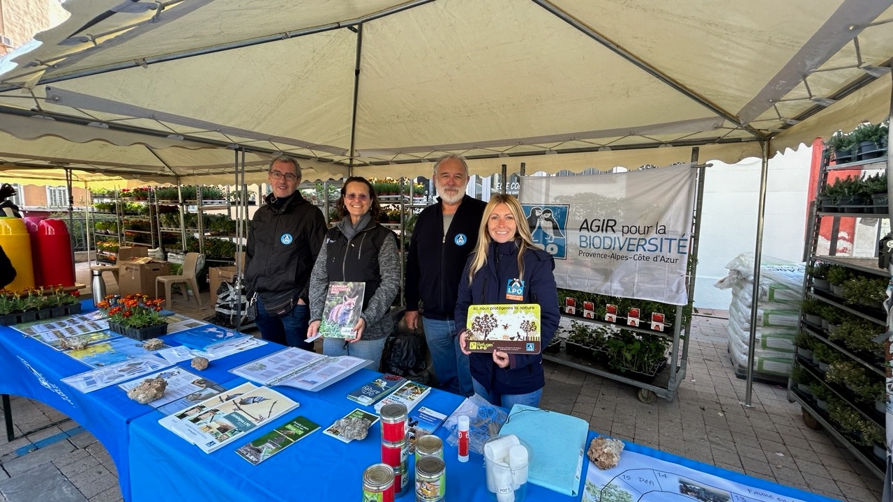 Foire aux plants Ollioules © Mairie d'Ollioules