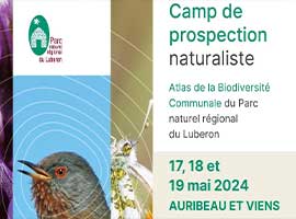 Camp de prospections naturalistes du Parc naturel régional du Luberon