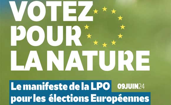 Elections européennes : nos 20 propositions pour la biodiversité