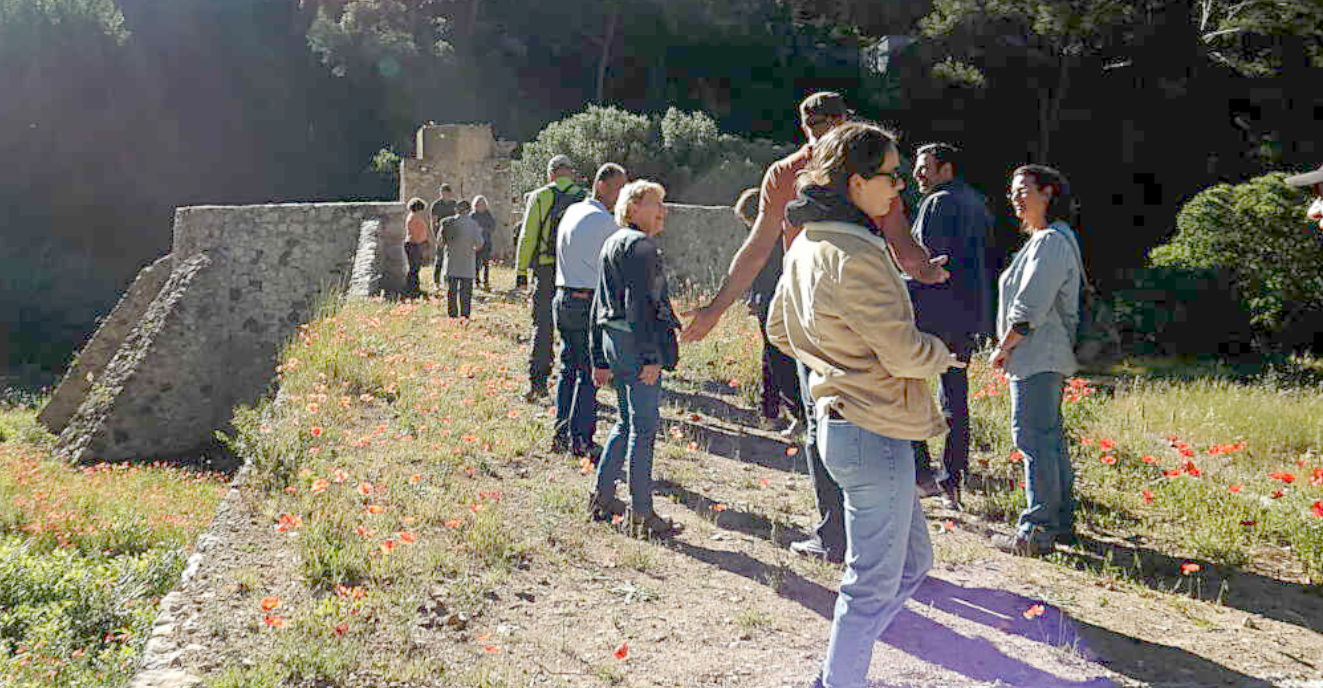 Photo de la balade du samedi 1er juin à Ollioule