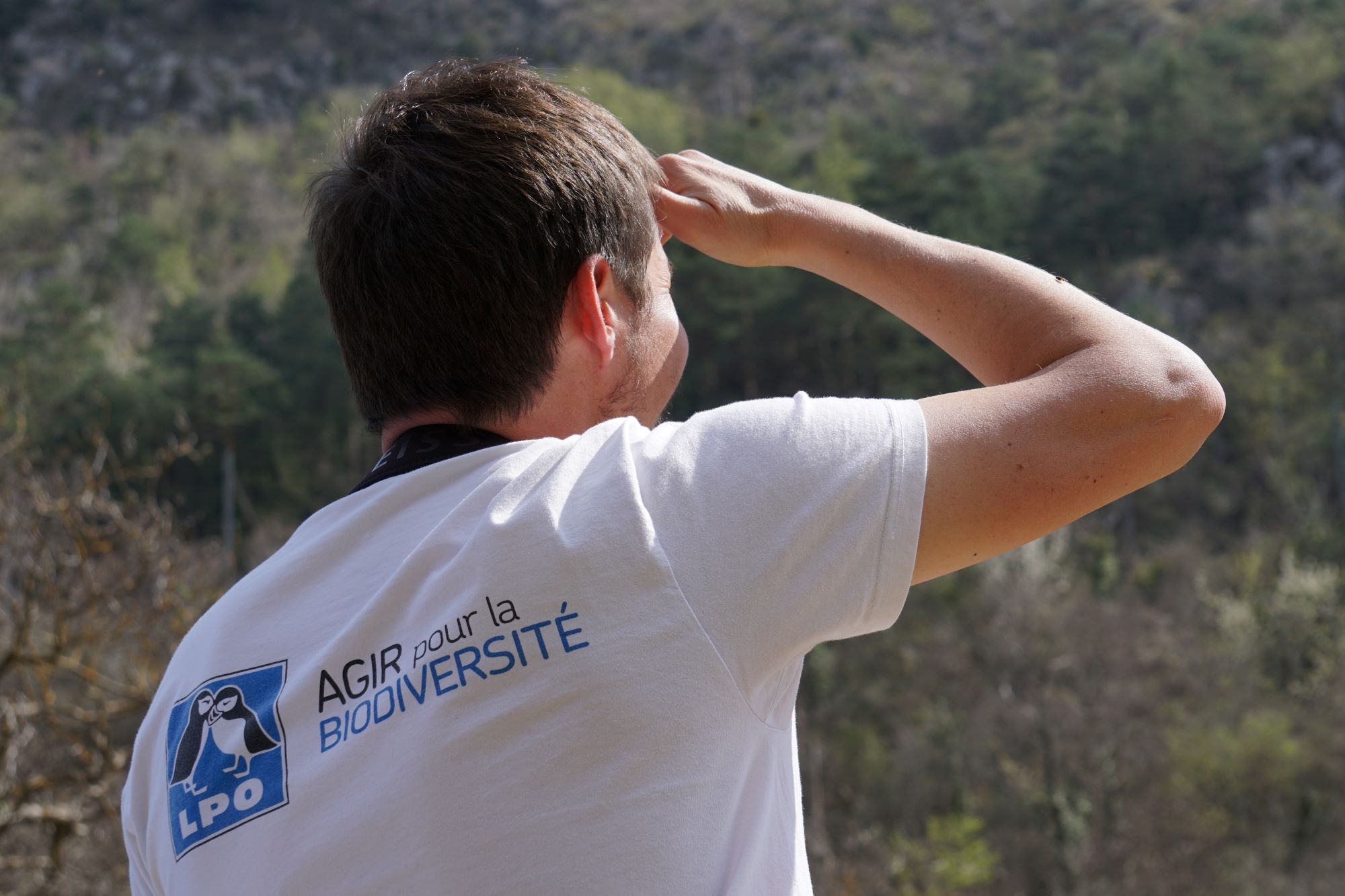 observation prospection lpo paca