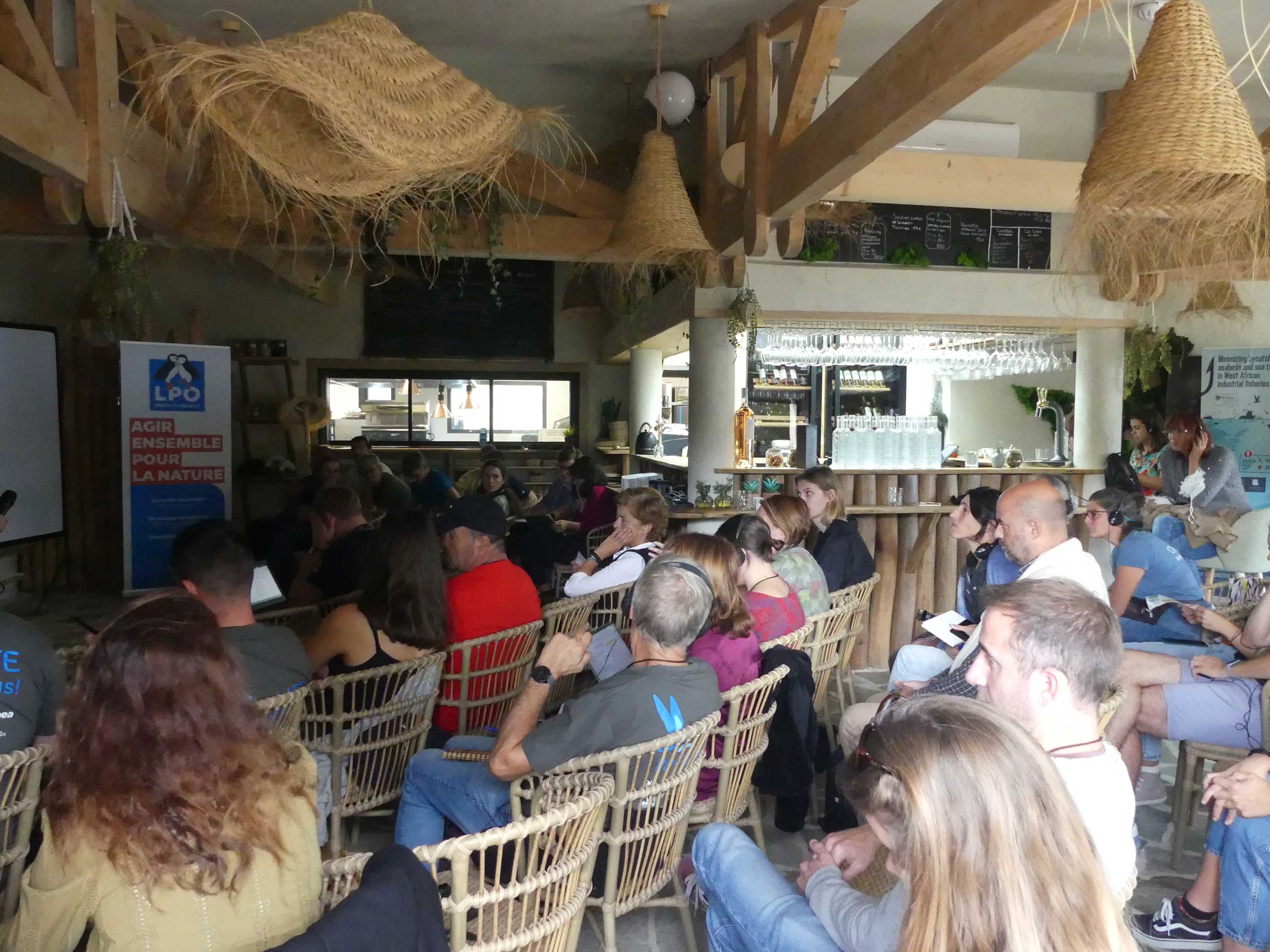 life panpuffinus 21 et 22 octobre 2024 hyeres lpo paca julie schubas