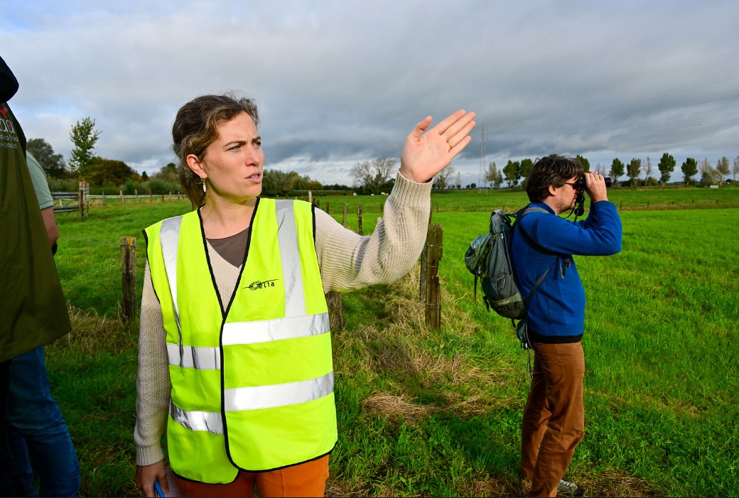 VISITE TERRAIN © RGI