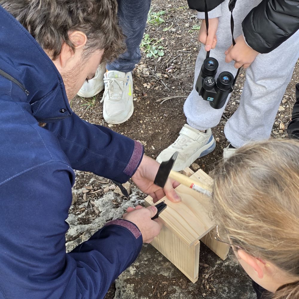 Fabrication de nichoir par Tom Bettini © Walid Zekryty