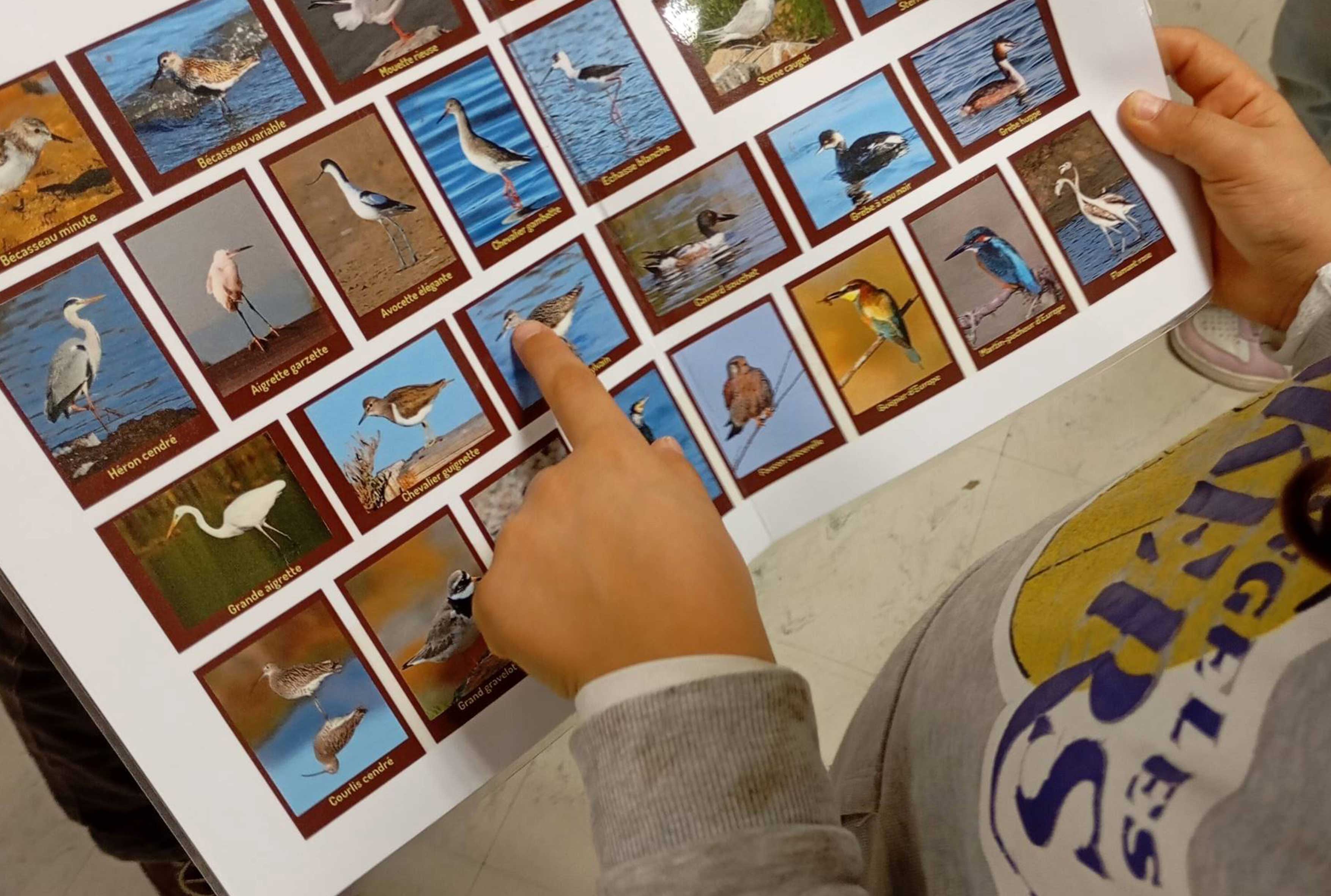 Interventions au centre ISA dans le cadre des cités éducatives