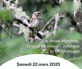 Conférence "Les rapaces nocturnes de Provence" à Marseille