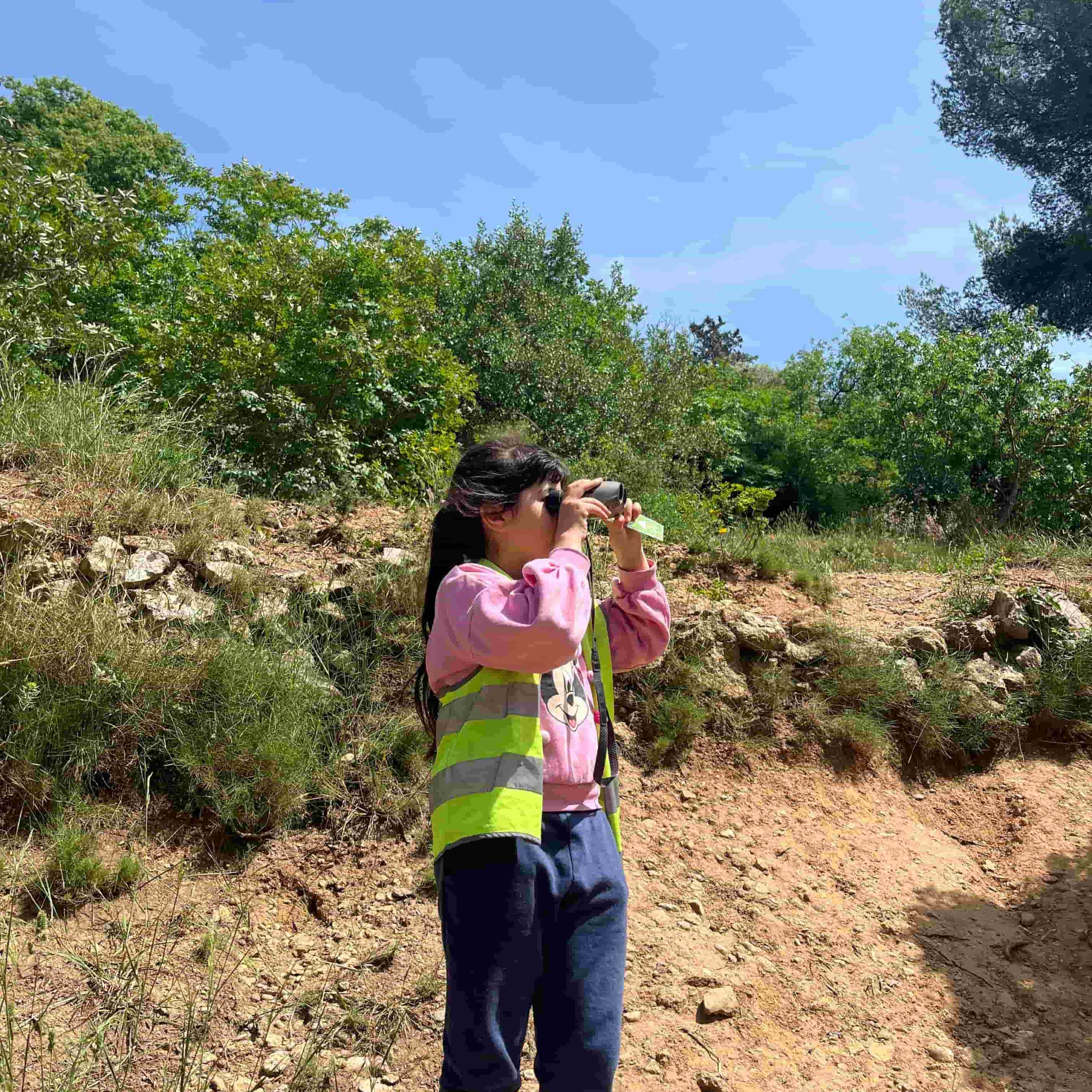 Animation_silhouettes cachées © L. Bichot