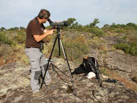 Prospection dans la plaine des Maures © Sébastien GARCIA
