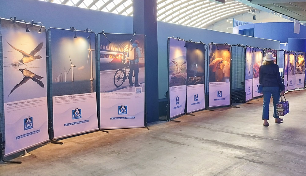 2025 06 06 unoc nice julie schubas lpo paca 18