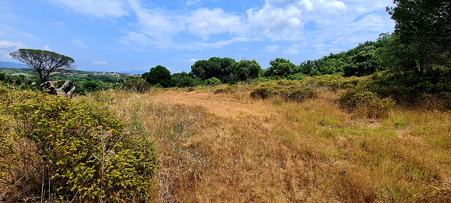 ENS Rocher du Palay (c) Marion Fouchard