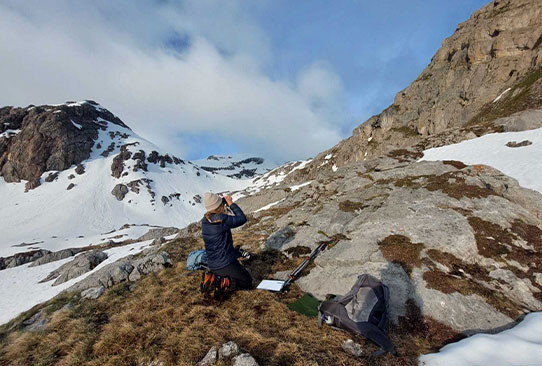 Suivis galliformes © RNR des Partias 