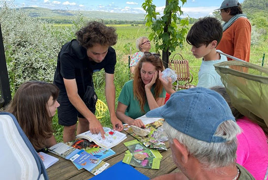 Comment participer à l’enquête « Devine qui papillonne au jardin ? », on vous dit tout !  
