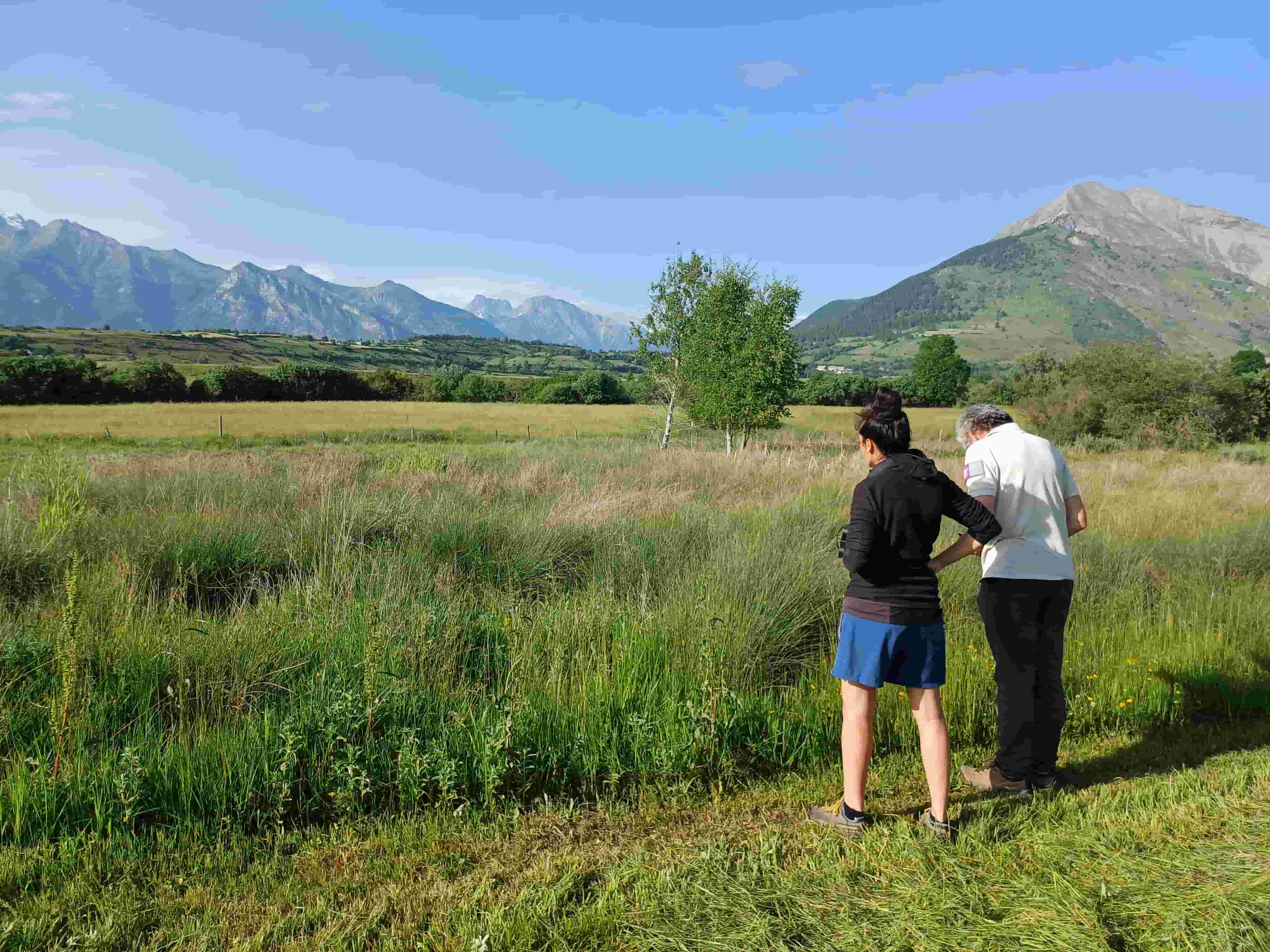Observation des prairies du Champsaur © LPO PACA Observation des prairies du Champsaur © LPO PACA