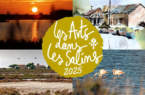 Affiche : artistes varois s'exposent aux Salins !