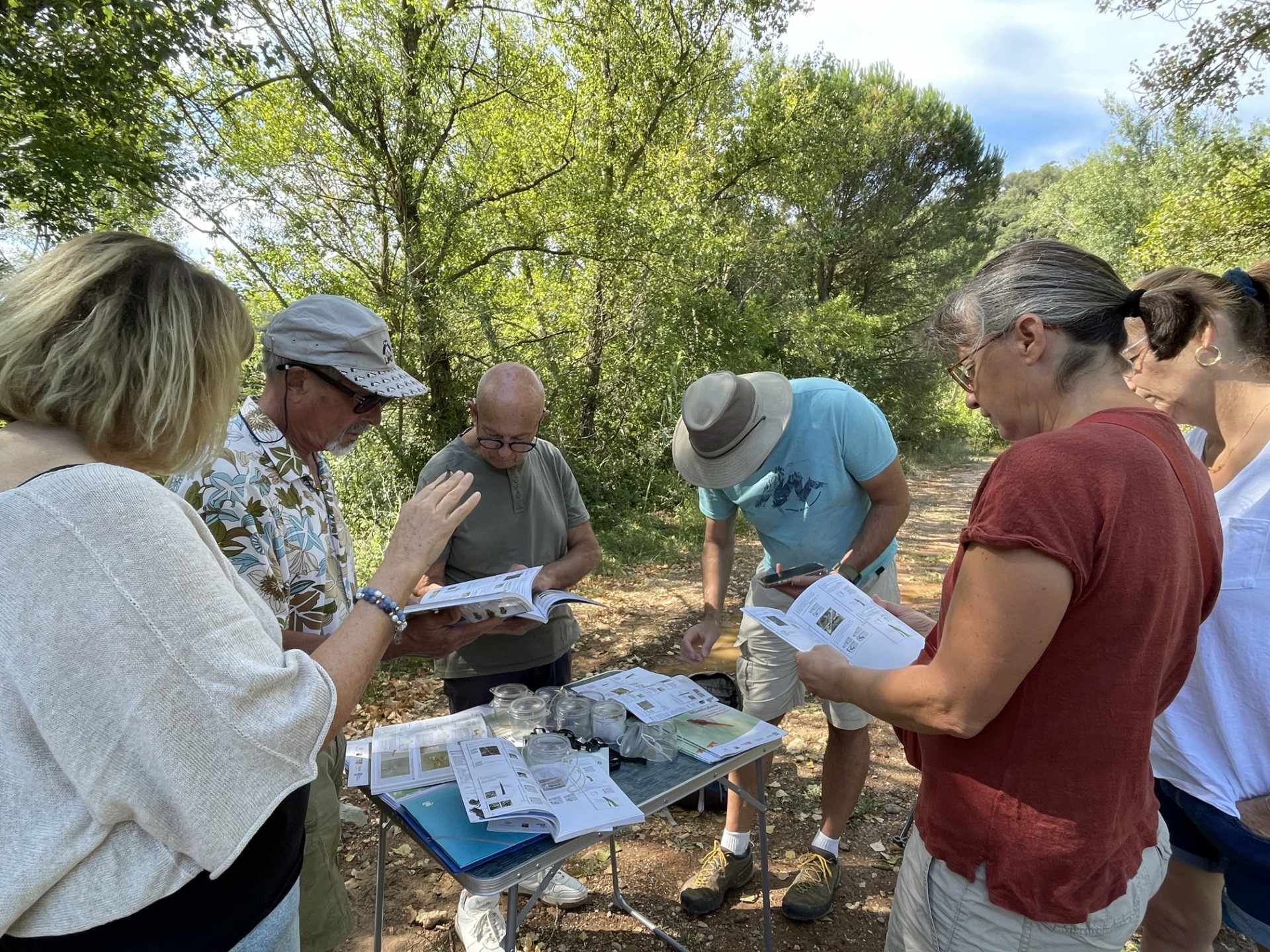 Identification libellules © Charlotte Springaux