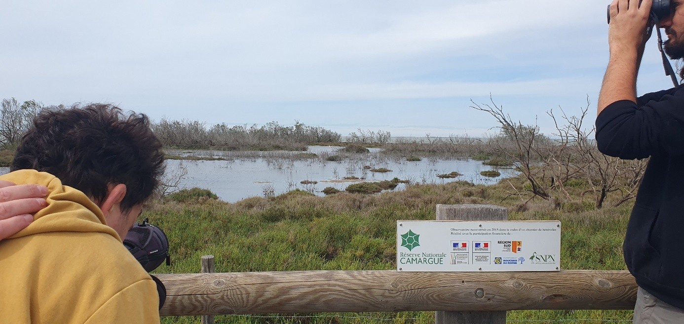 Les Flamants en Camargue © Julien Blanc Les Flamants en Camargue © Julien Blanc
