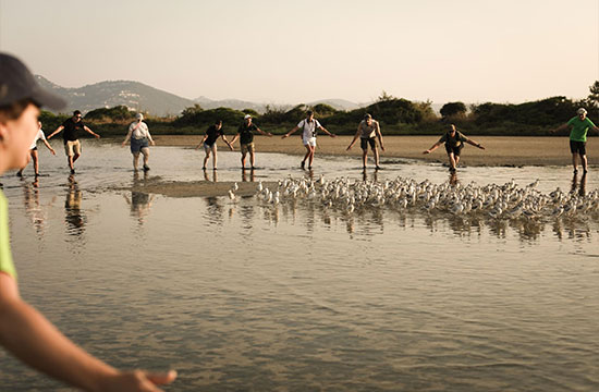 © Stéphanie Davilma