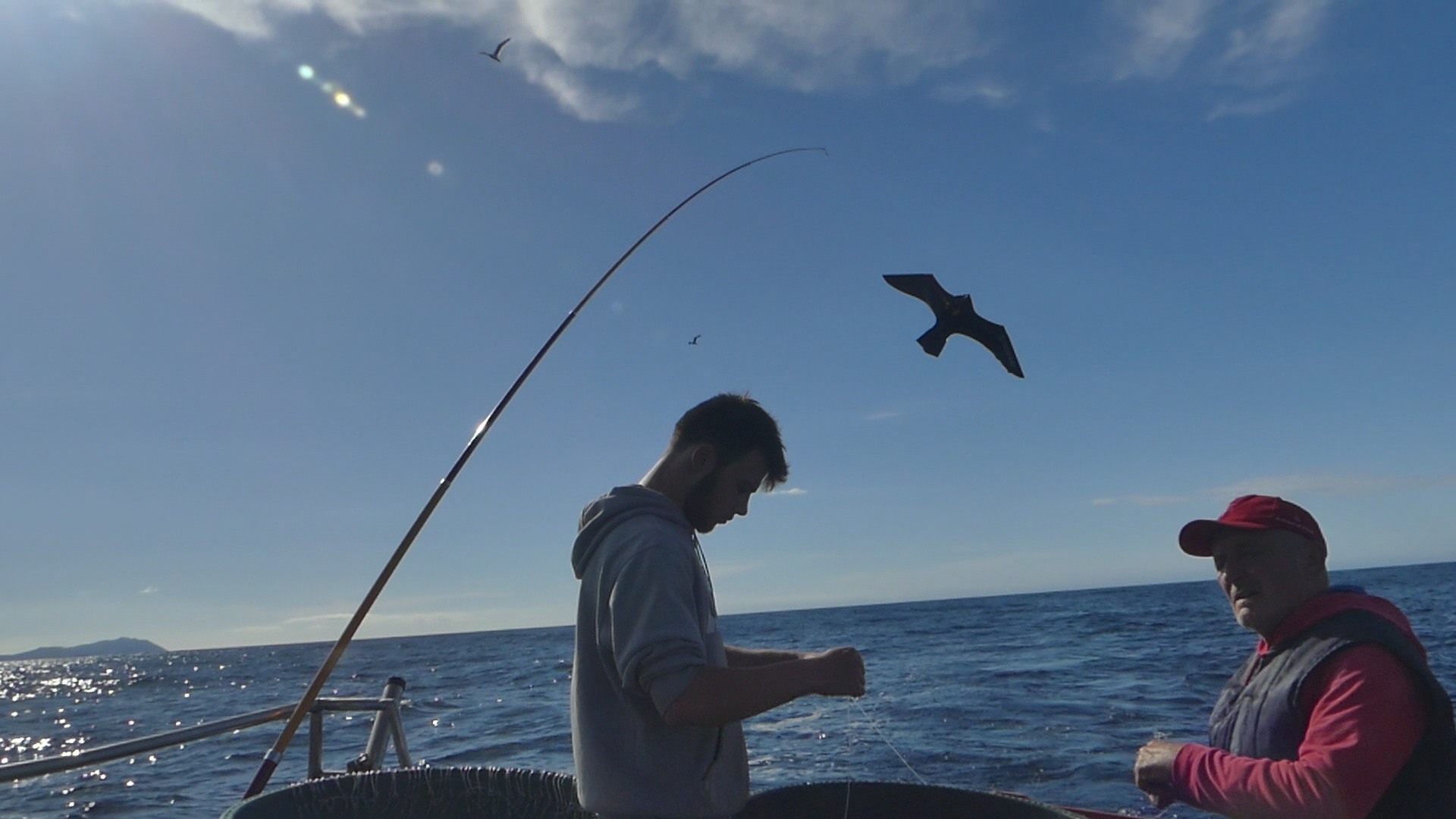 web deploiement du sacrybird j. grolleau