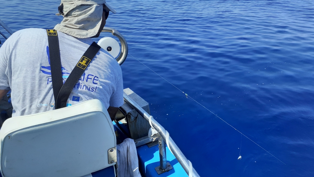 web pecheur j. grolleau lpo paca web pecheur j. grolleau lpo paca