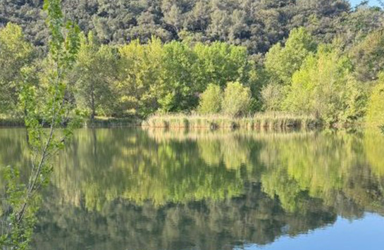Etang de Sauvebonne © Sarah Bagnis