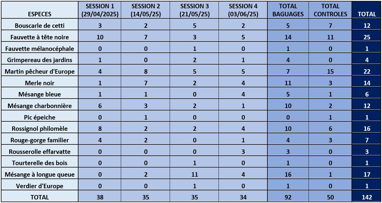 Tableau récapitulatif STOC Capture étangs de Sauvebonne © Antoine Cordoin