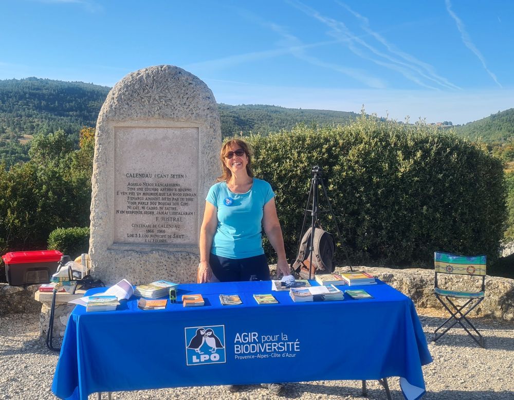  journee mondiale des vautours rocher du cire