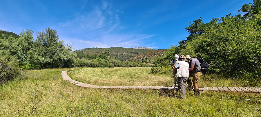 ENS Ste Pierre (c) Marion Fouchard