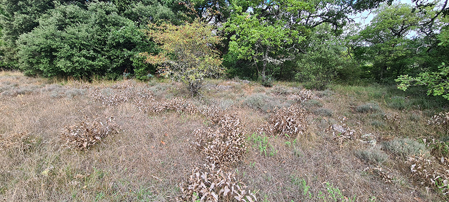 ENS de Lambruisse (c) Marion Fouchard