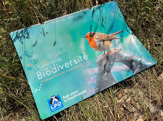 ephemeride © LPO FRANCE