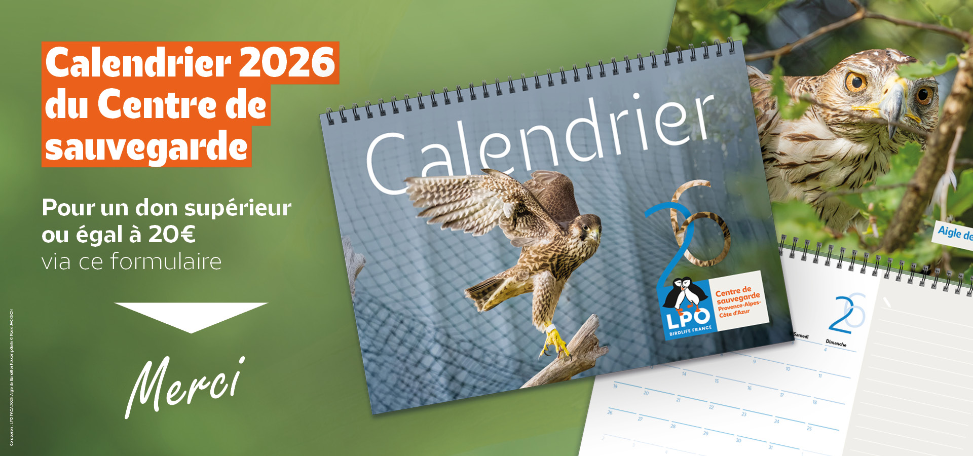 Calendrier 2026 du Centre régional de sauvegarde de la faune sauvage de Buoux Calendrier 2026 du Centre régional de sauvegarde de la faune sauvage de Buoux