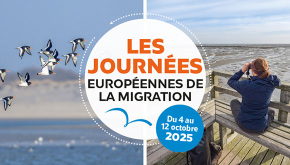 Les journées européennes de la migration