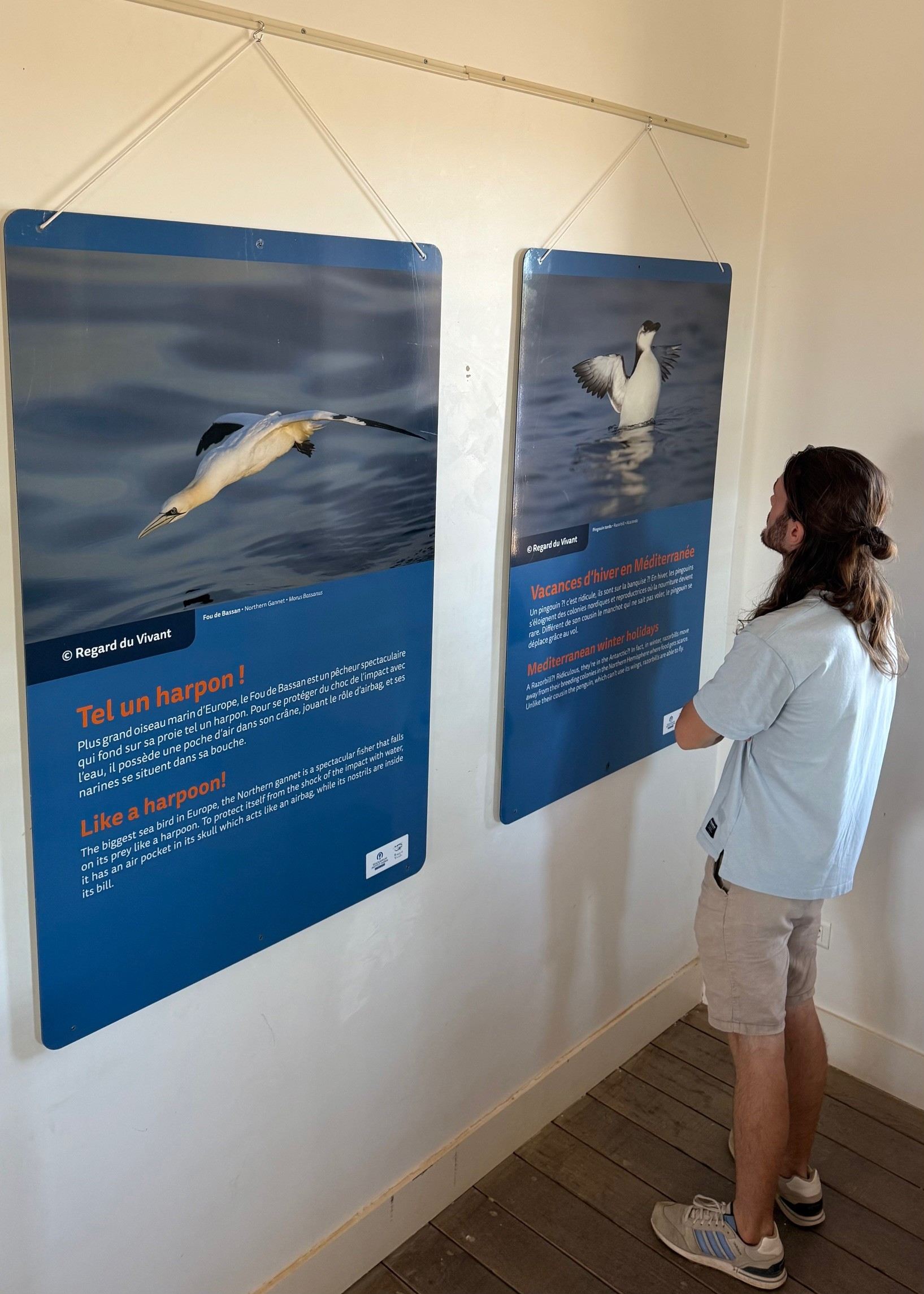 Un visiteur de l'exposition Merveilles de Méditerranée. ©Sarah Bagnis
