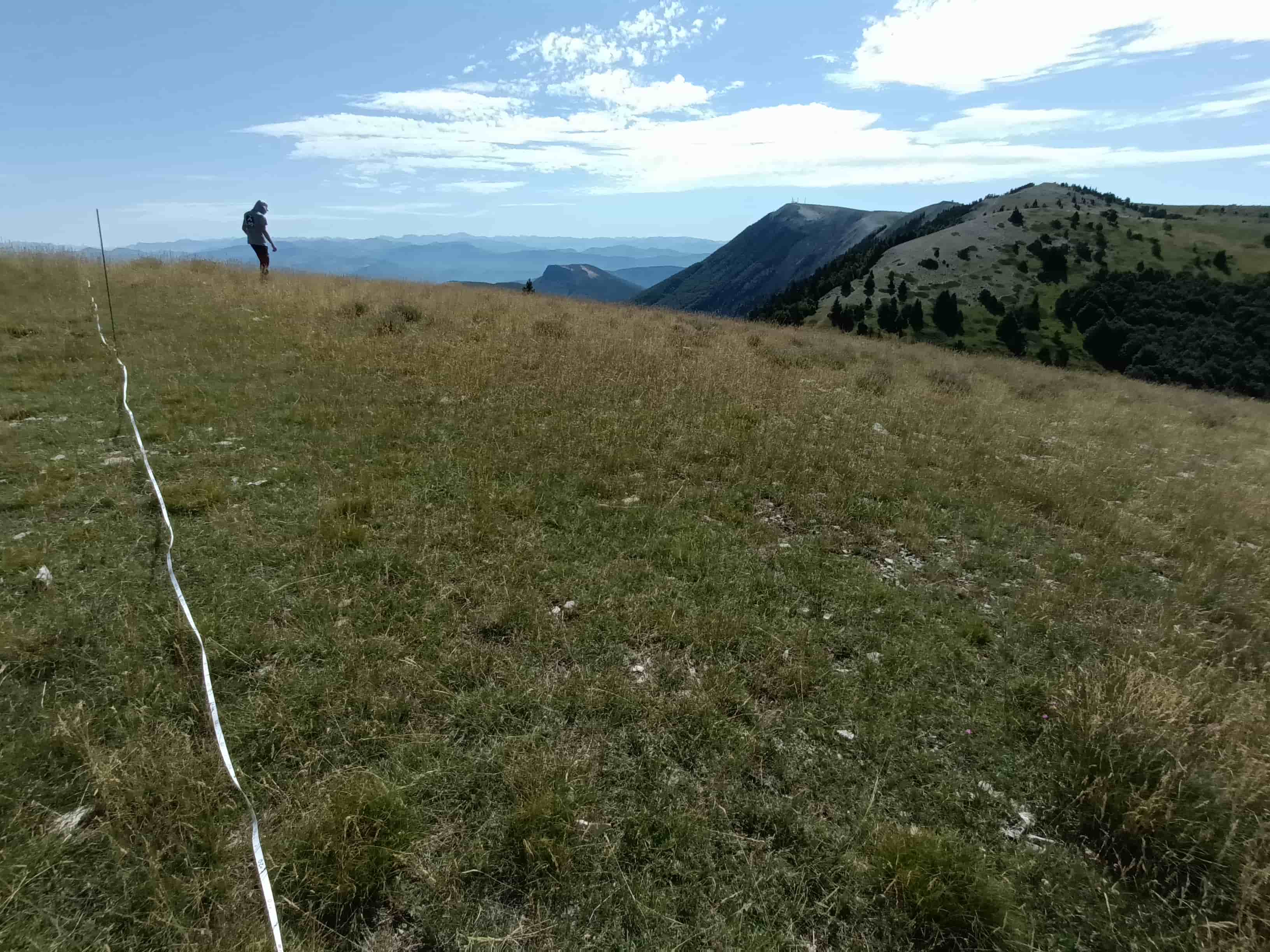 Prospection Vipère d'Orsini © LPO PACA