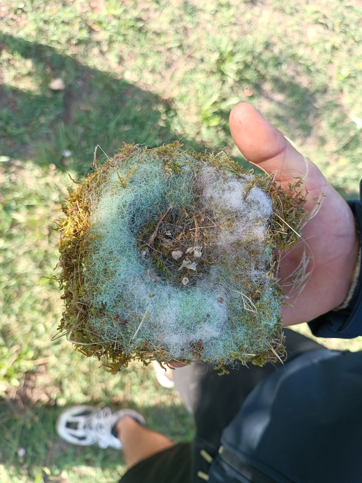 refuge lpo rives luberon a johanet 4