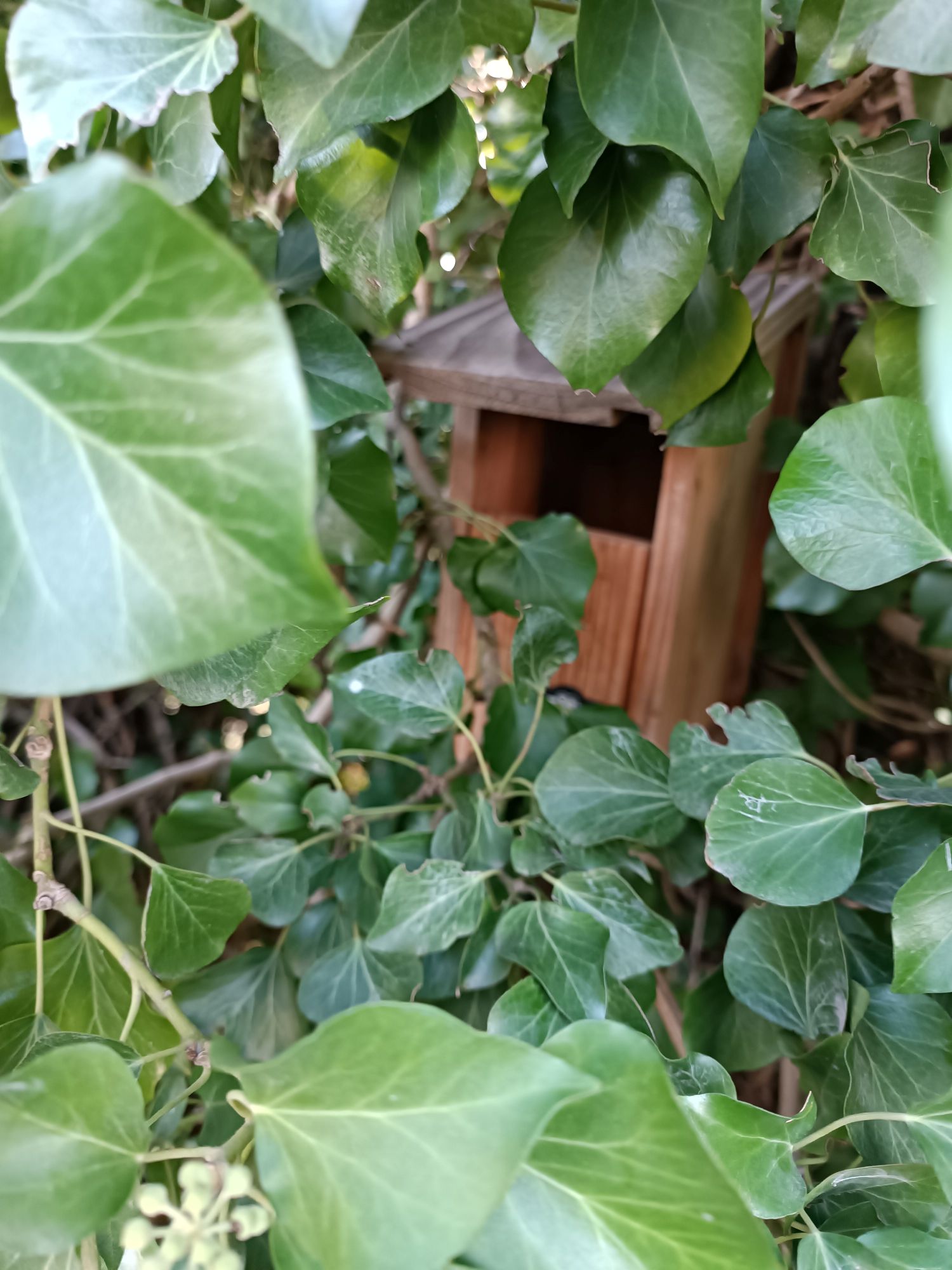 refuge lpo rives luberon a johanet 5